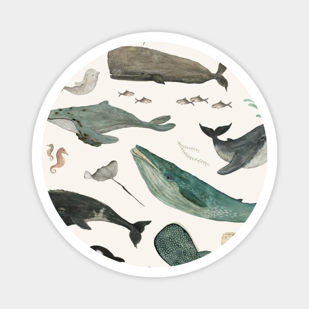 Big whale song Magnet by katherinequinnillustration